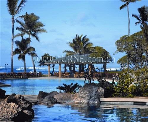 Панорама Turtle Bay Resort 4*