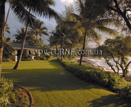 Апартаменти Turtle Bay Resort 4*