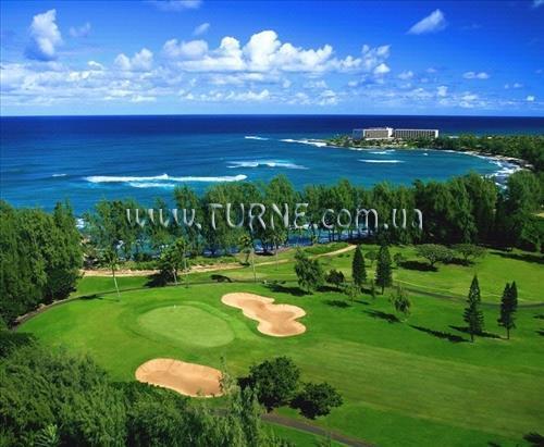 Територія Turtle Bay Resort 4*