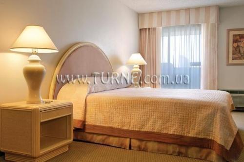 Вид The Quad Resort & Casino 3*