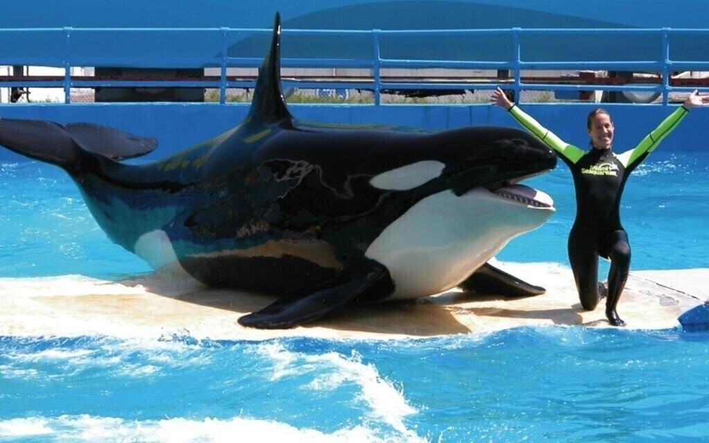 Территория Holiday Inn Miami Beach - Oceanfront 3*