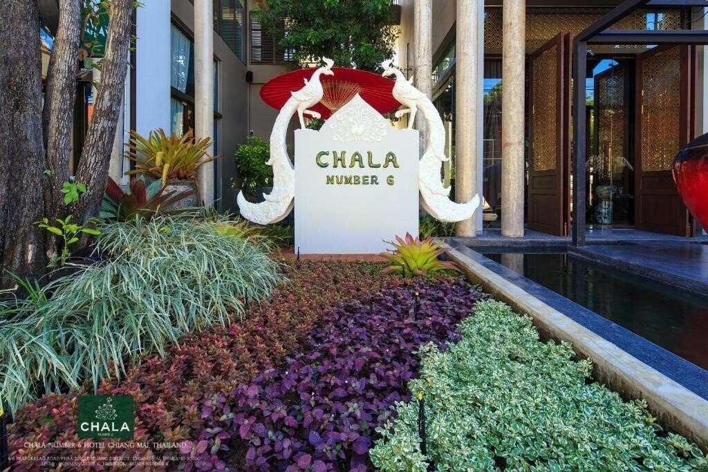 Вид Chala Number 6 4*