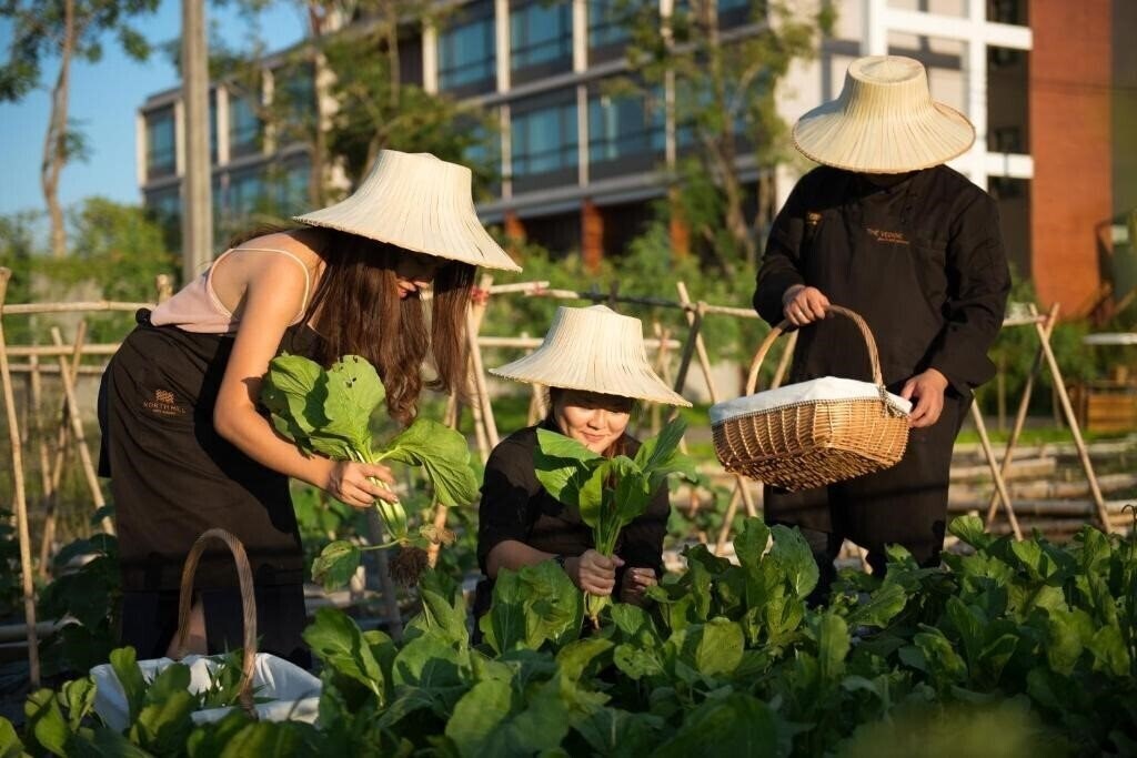 Панорама North Hill City Resort 4*