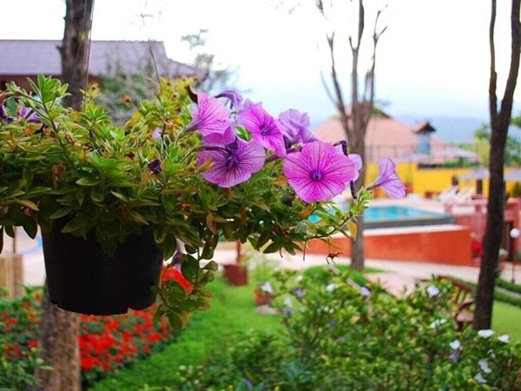 Панорама Insda Wellness Resort (ex. Insda Resort) 3*