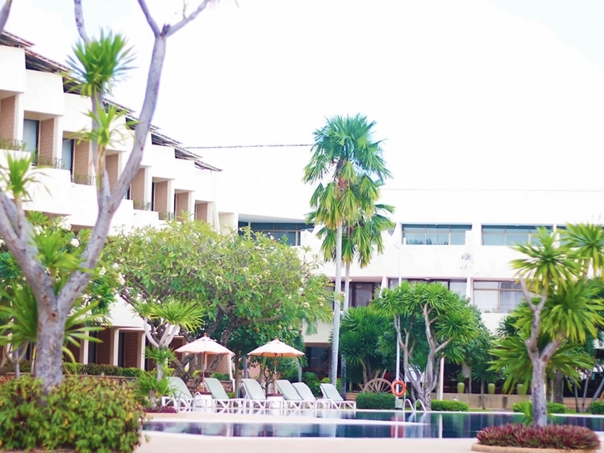 Фотография Tropicana Pattaya 4*
