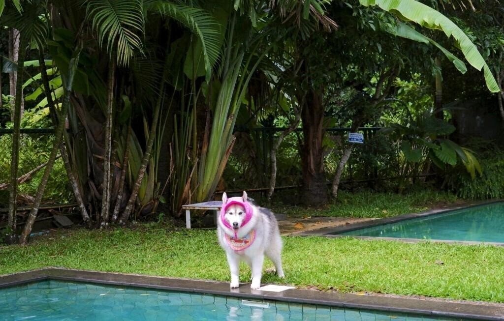 Зображення Kokotel Khao Lak Isara Casa 3*