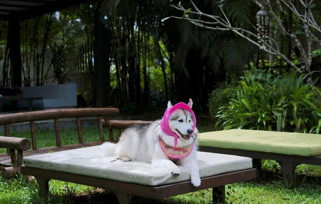 Вид Kokotel Khao Lak Isara Casa (ex. Hillscape) 3*