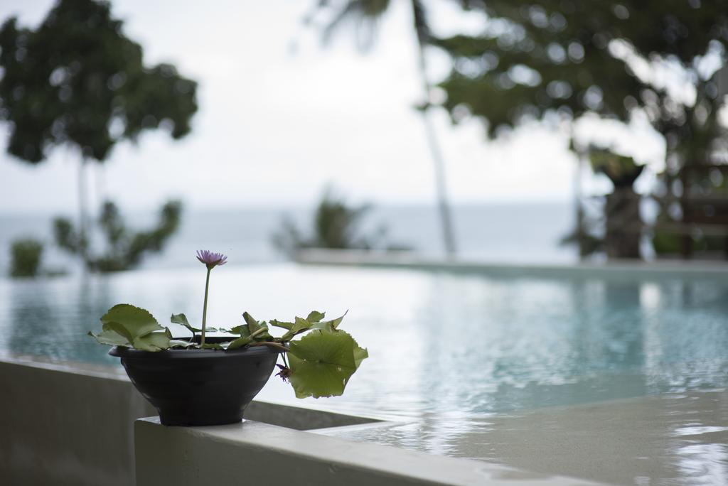 Фотография Nest Sense Resort 3*