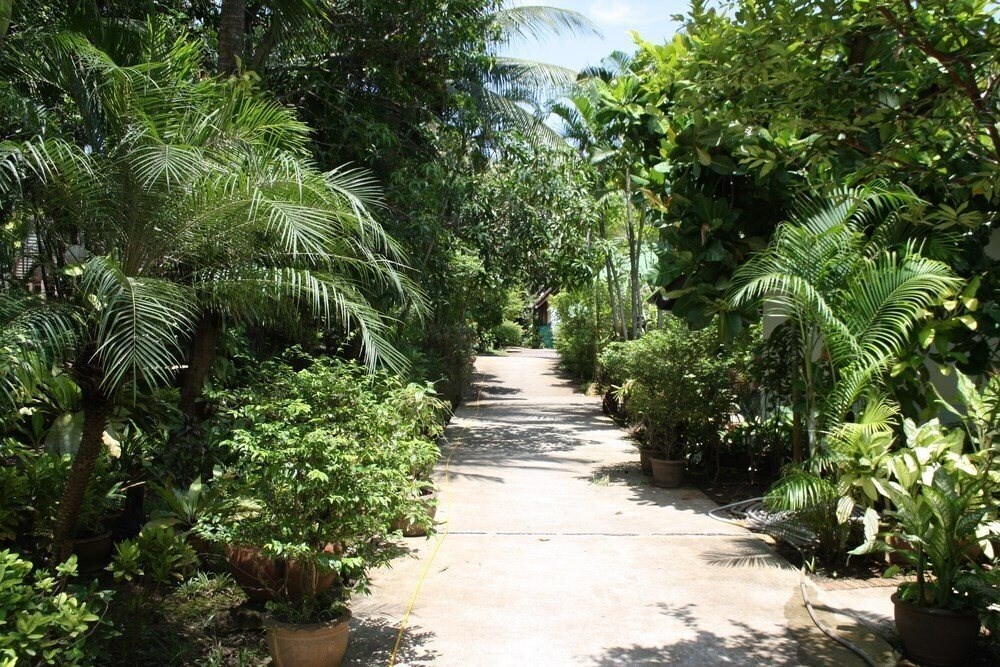 Отель Karon Golden Sand Hotel 3*