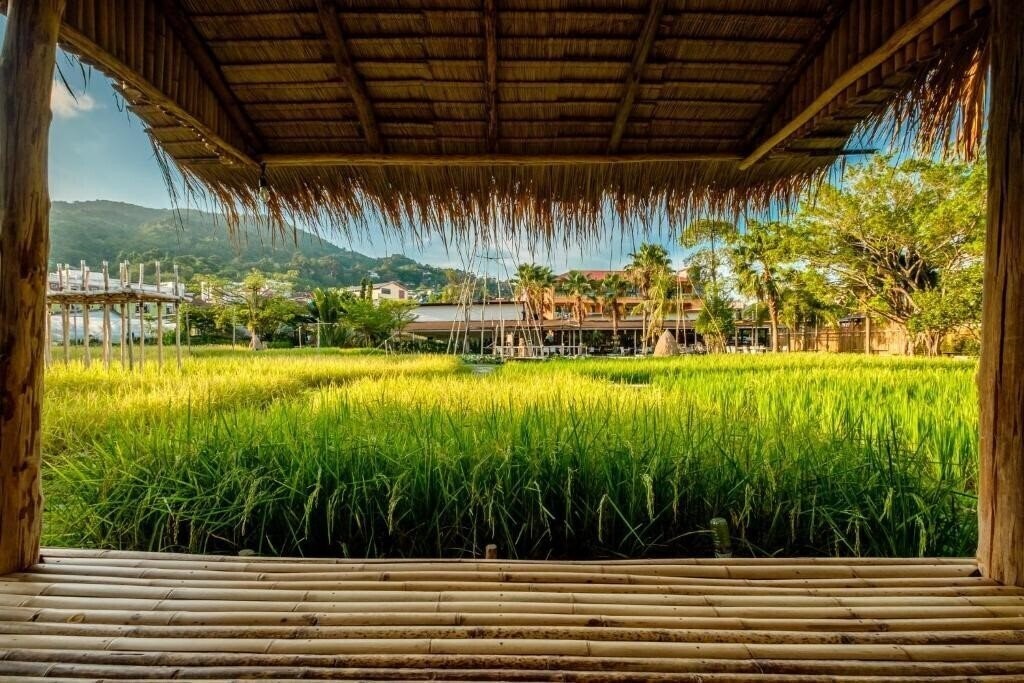 Территория Nai Na Resort & Spa 3*