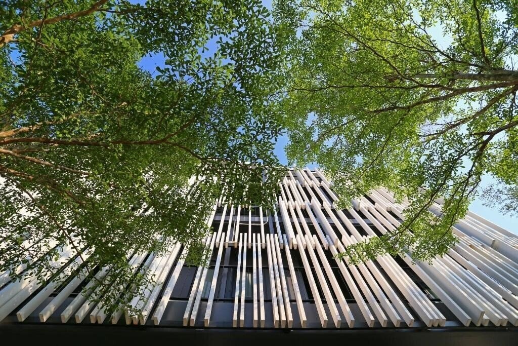 Апартаменты Blu Monkey 2*