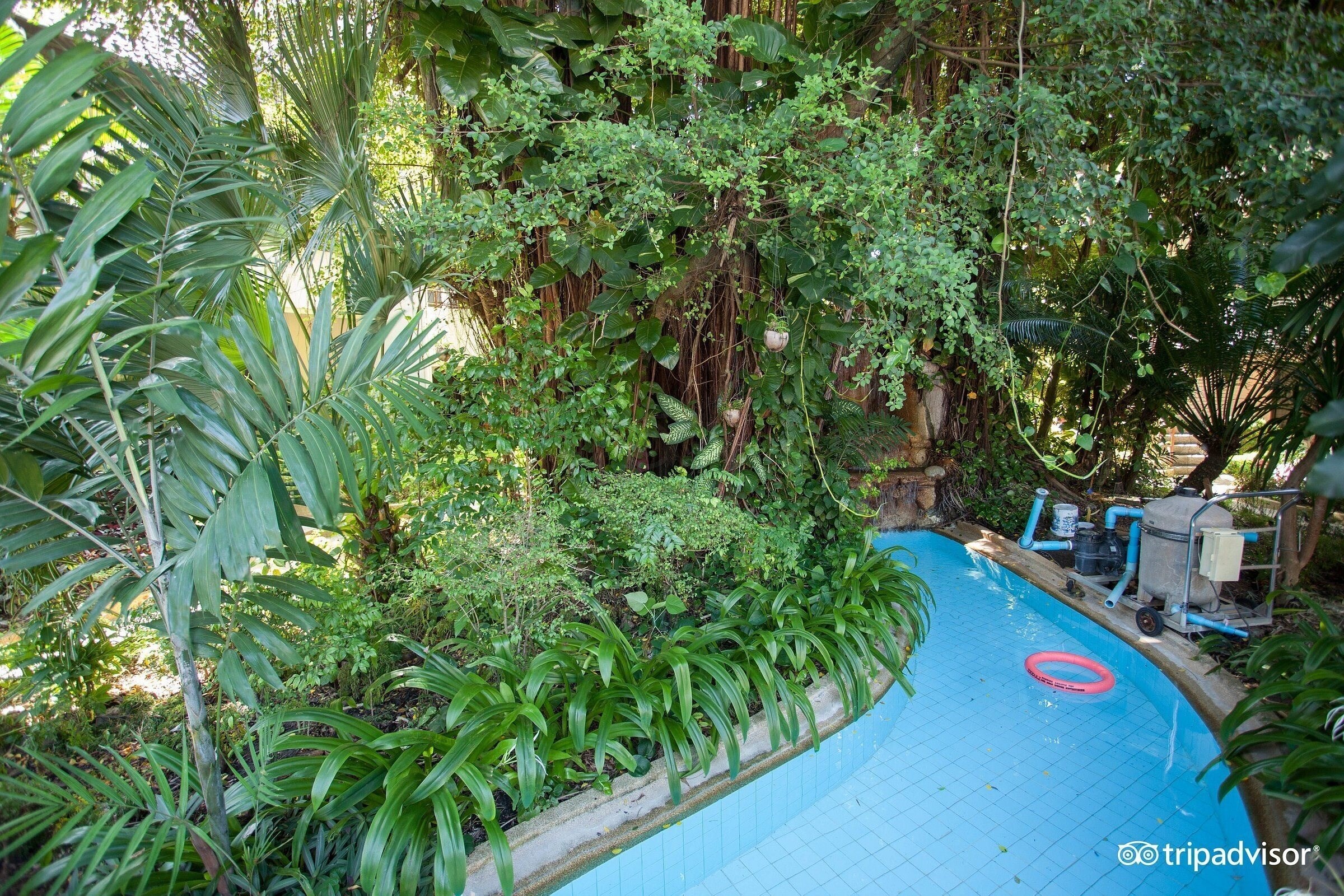 Фотография Swiss Palm Beach 3*