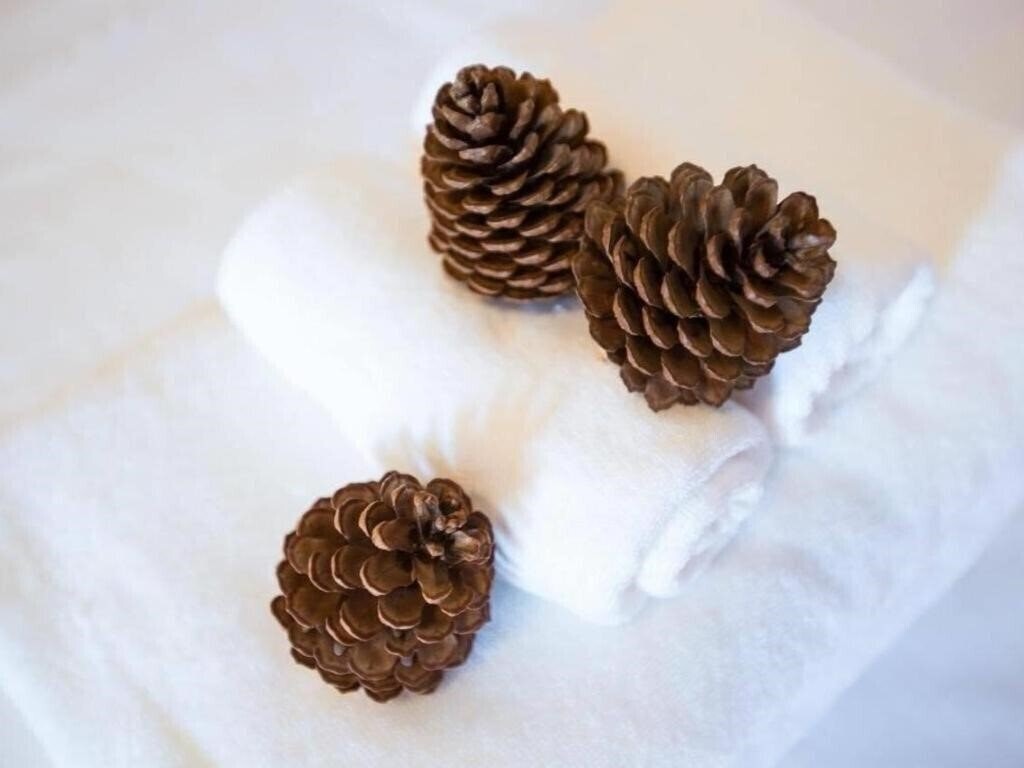 Територія At Home Boutique 2*