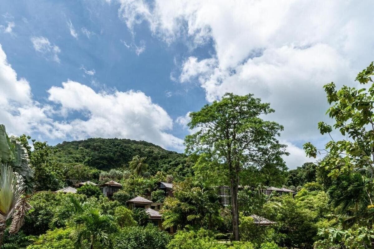 Вид The Mangrove Panwa Phuket Resort 4*