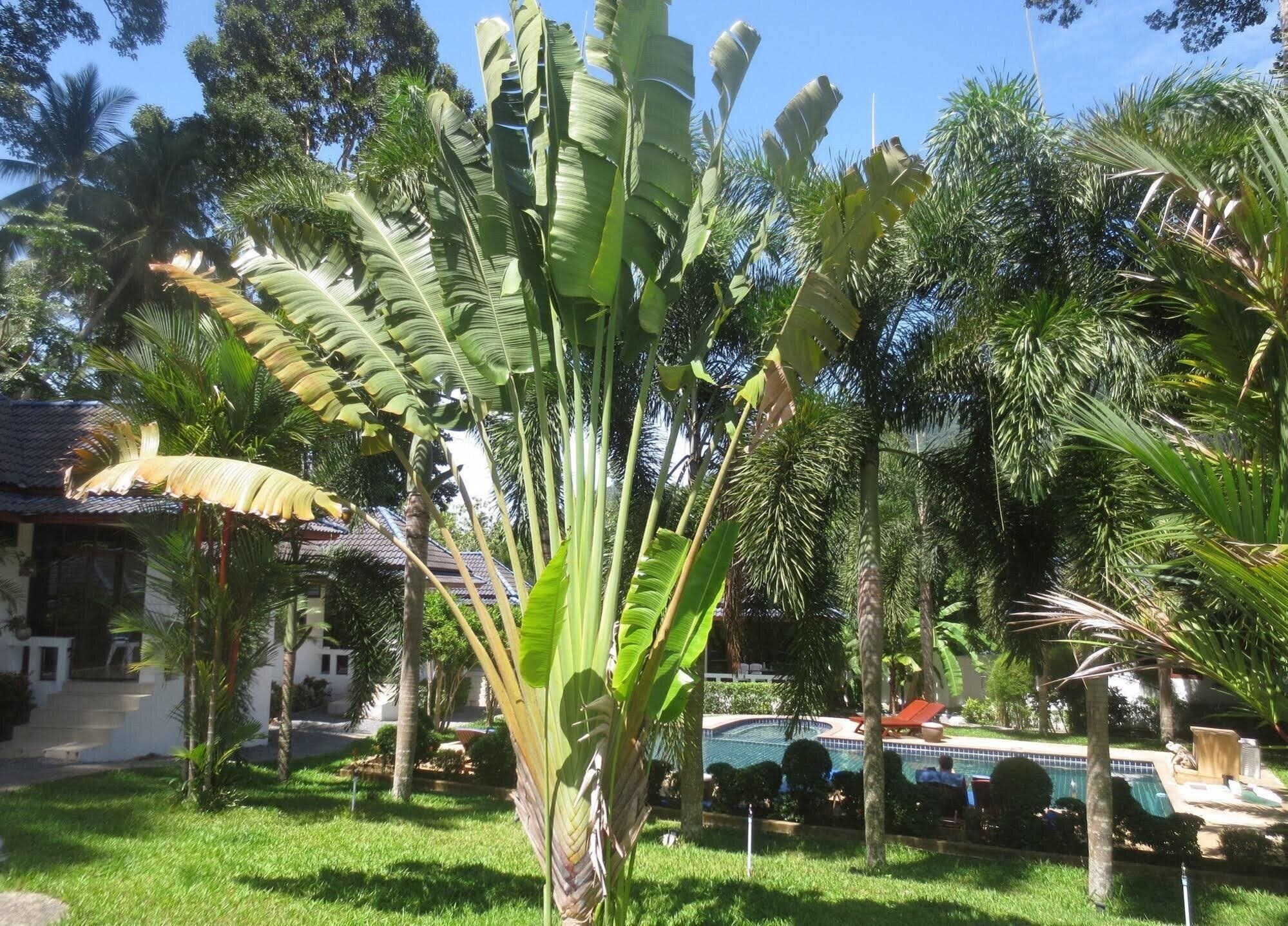 Панорама Berghof Resort Samui 3*