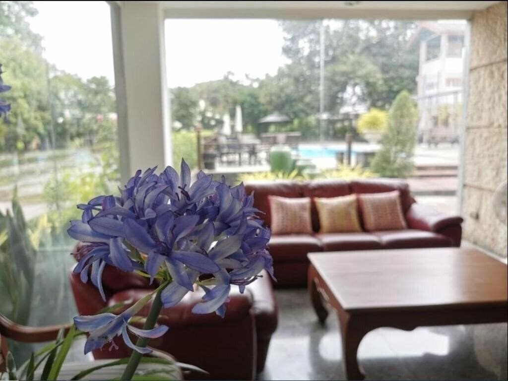 Панорама Park Hotel Pattaya 2*