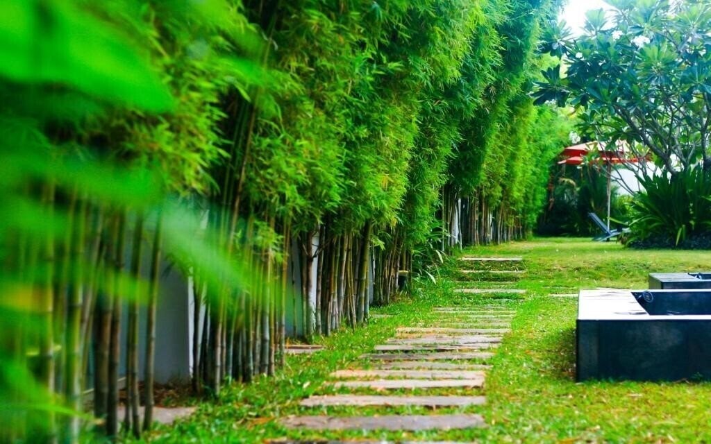 Панорама Palm Grove Hotel 4*