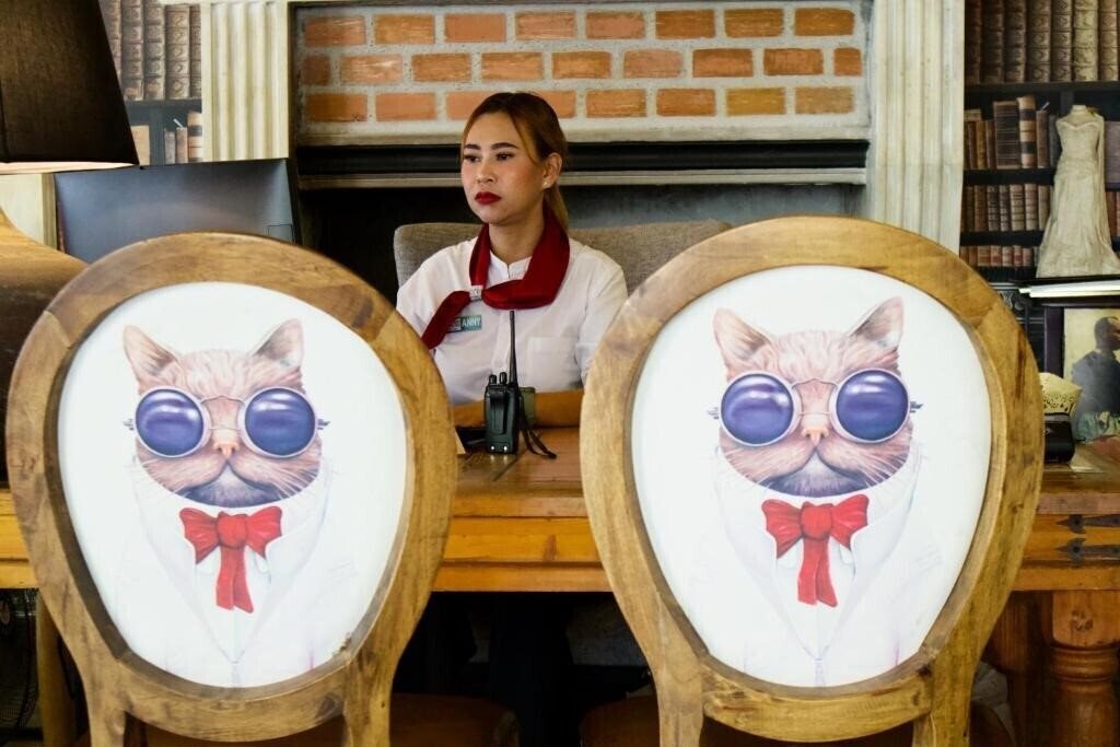 Вид Milky Bay Resort 3*