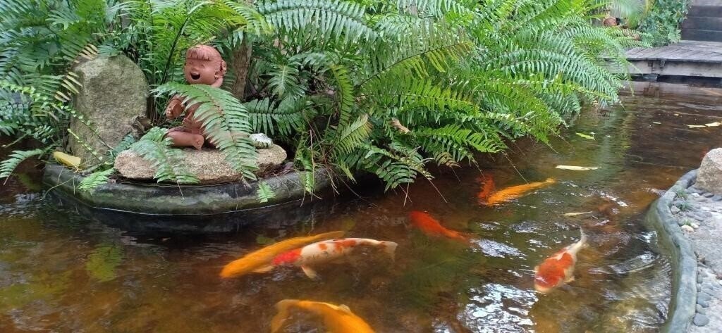 Панорама Tommy Resort 3*