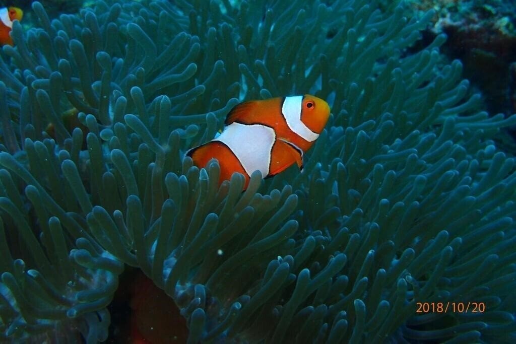 Панорама Outrigger Phi Phi Island Resort (ex. Zeavola Resort & SPA	) 5*