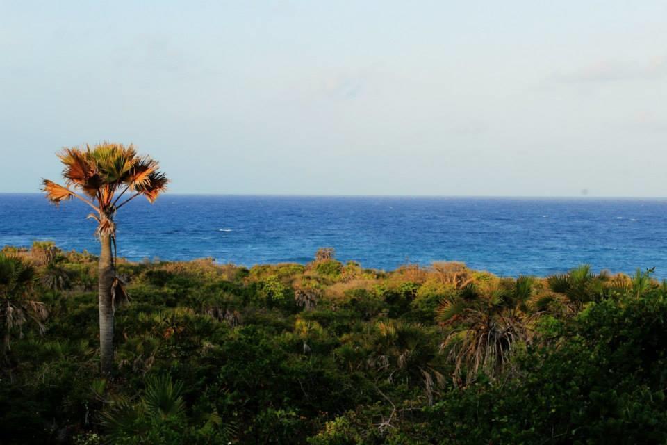 Территория Changani Beach Cottages 3*