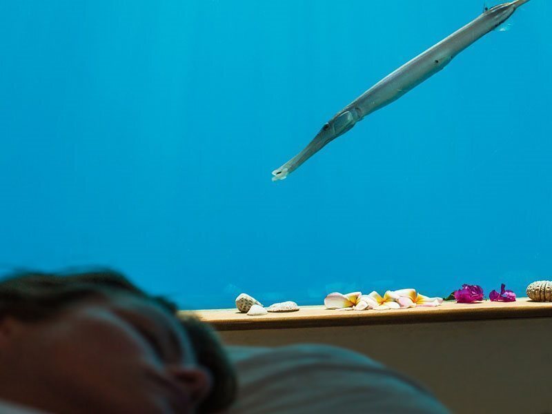 Апартаменты The Manta Resort 4*