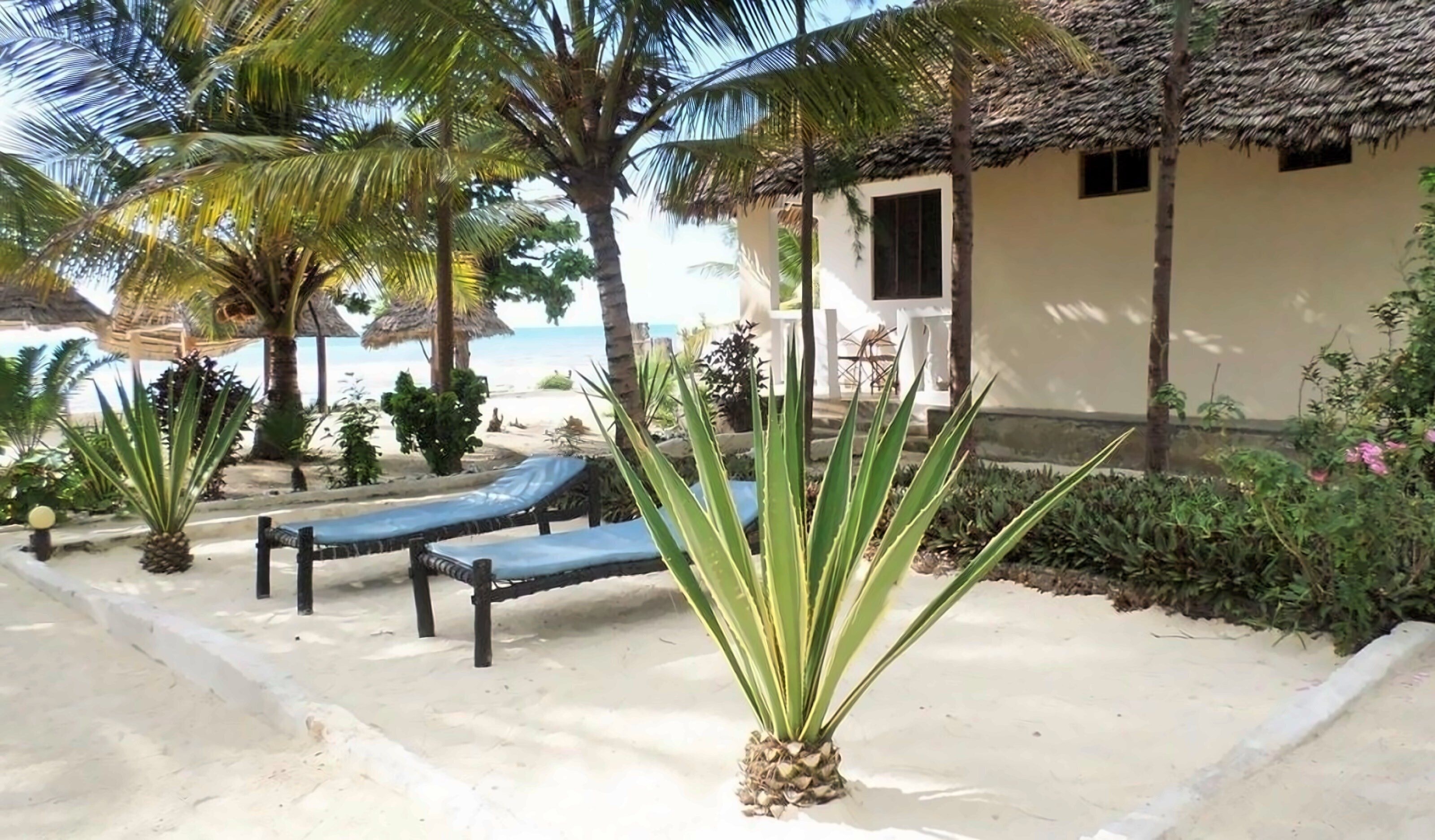 Вид Panorama Beach Ocean View 4*