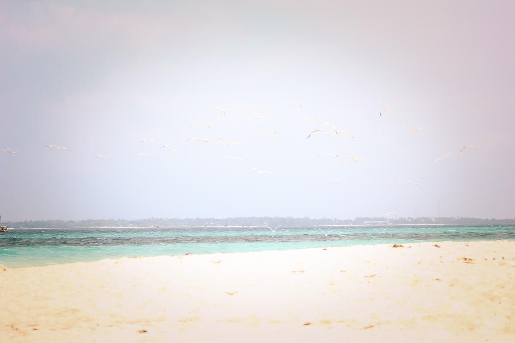 Апартаменты Palumboreef Beach Resort 3*