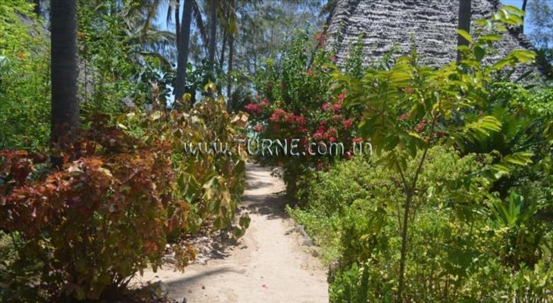 Вид Ndame Beach Lodge Zanzibar 3*