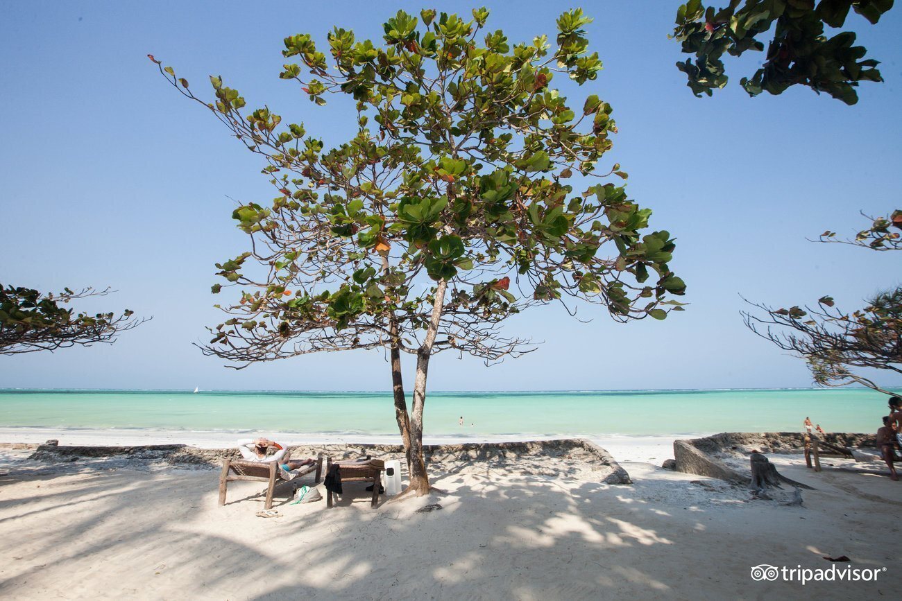 Зображення Diamonds Mapenzi Beach Zanibar 4*