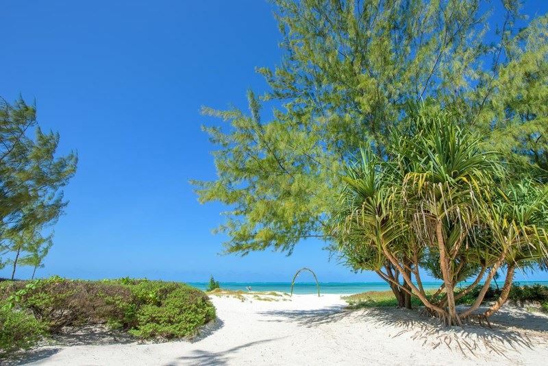 Фотография Hakuna Majiwe 4*