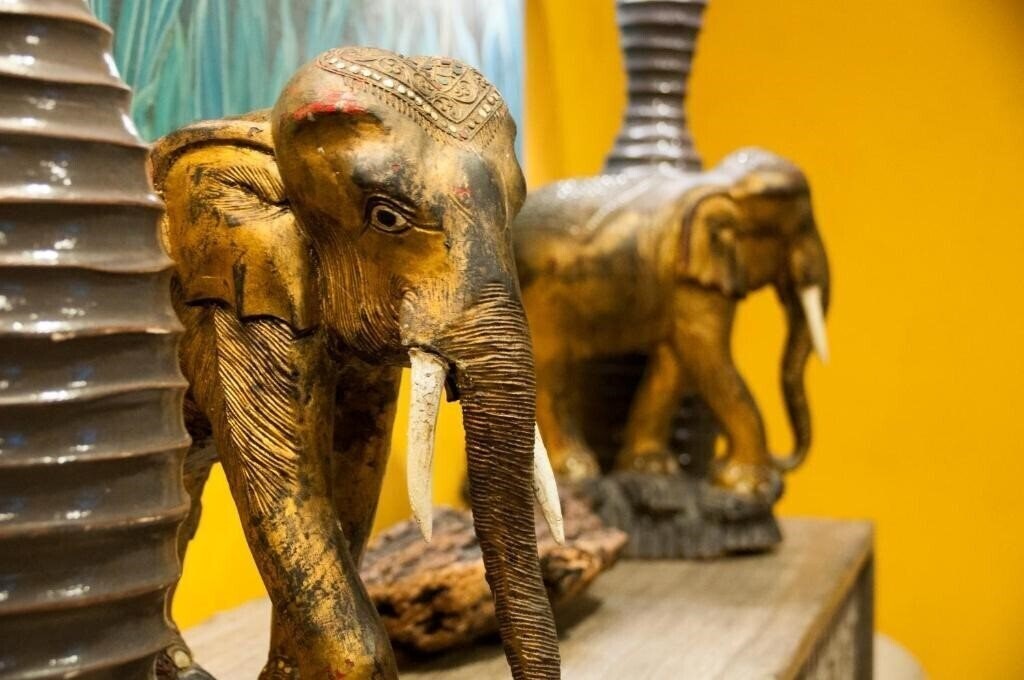 Вид Kholle House 3*