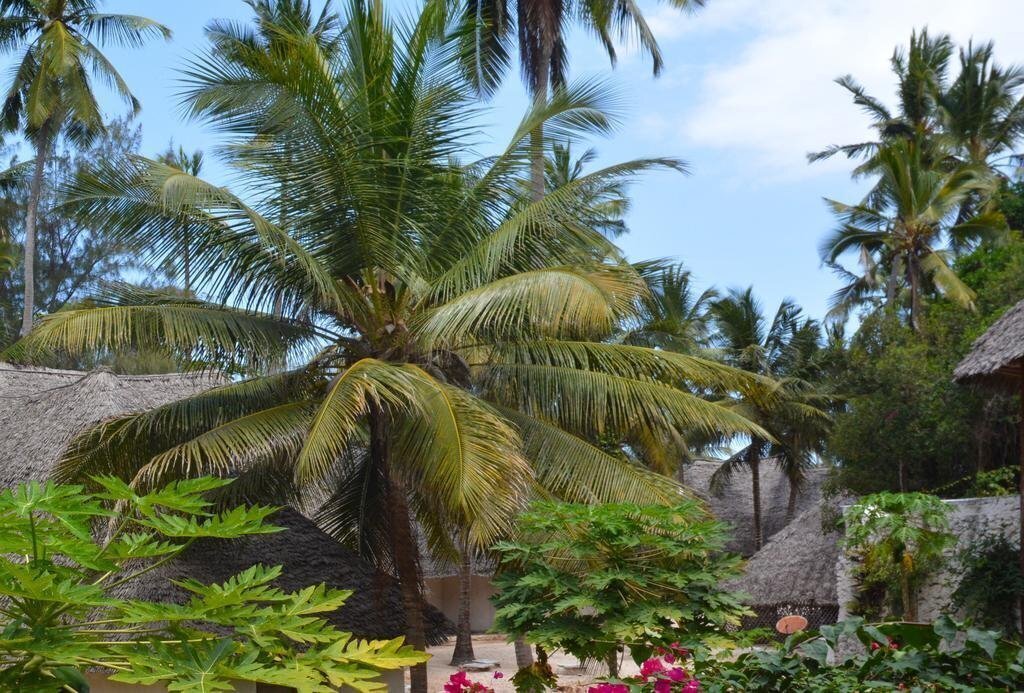 Изображение Coral Reef Resort 3*