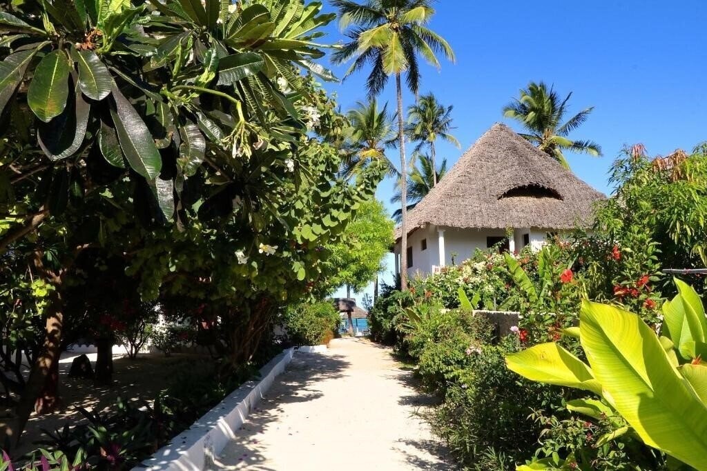 Вид Blue Oyster 3*