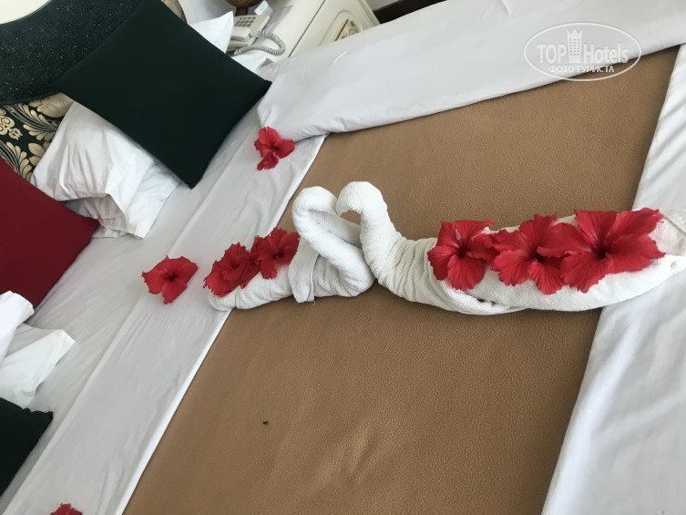 Апартаменти African Sun Sand Sea Beach Resort & Spa 3*