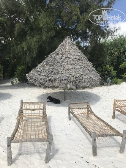 Панорама African Sun Sand Sea Beach Resort & Spa 3*