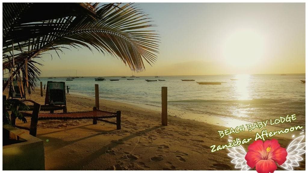 Отель Beach Baby Lodge 3*