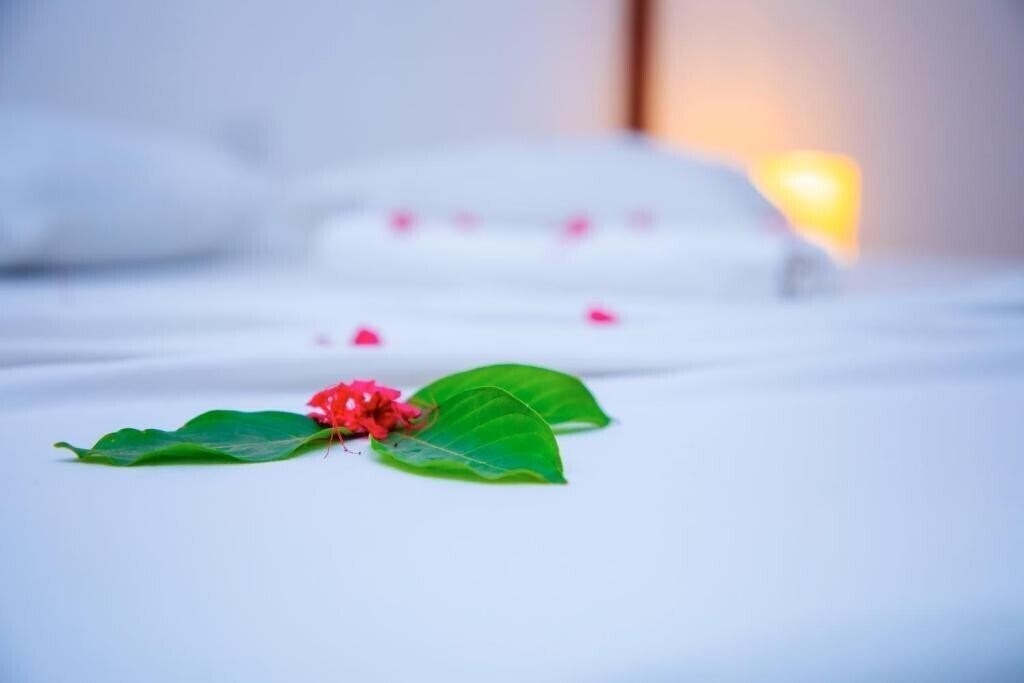 Територія Art Hotel Zanzibar 3*