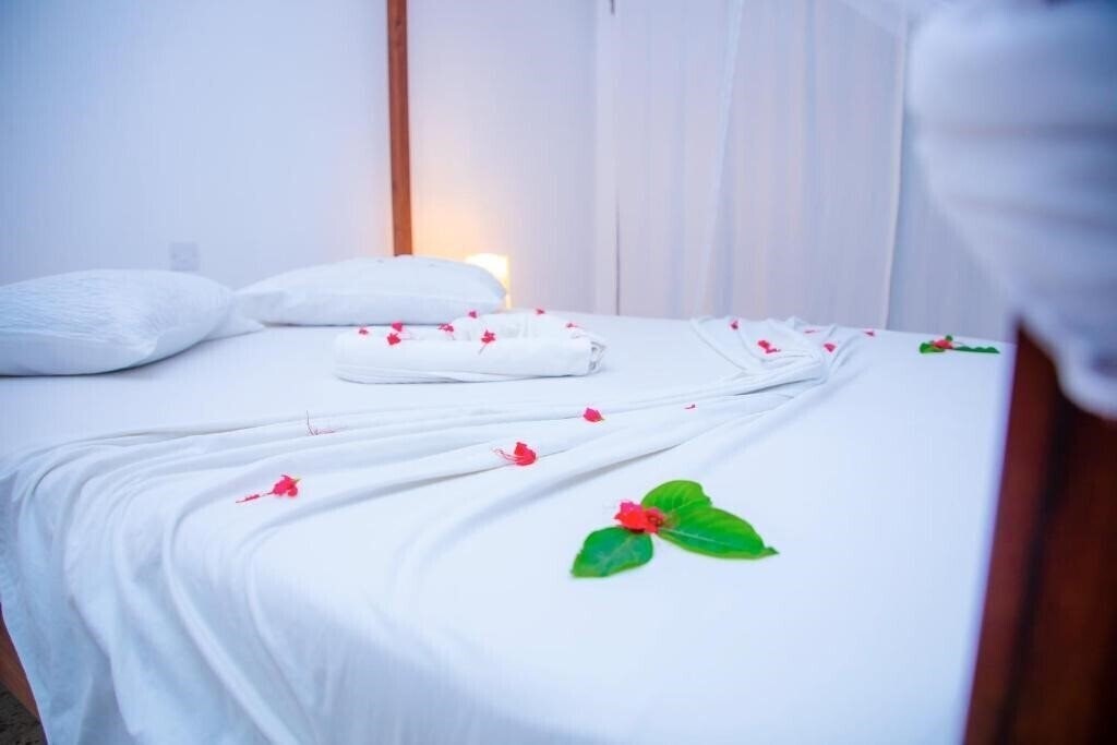 Апартаменти Art Hotel Zanzibar 3*