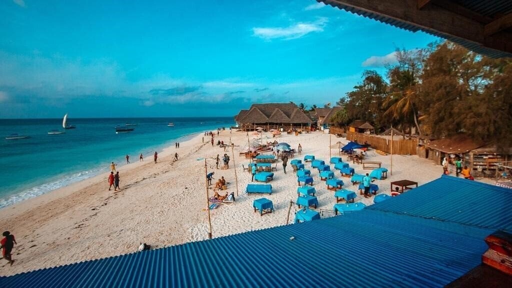 Вид Zenobia Beach Resort (Adult Only 18+) 3*