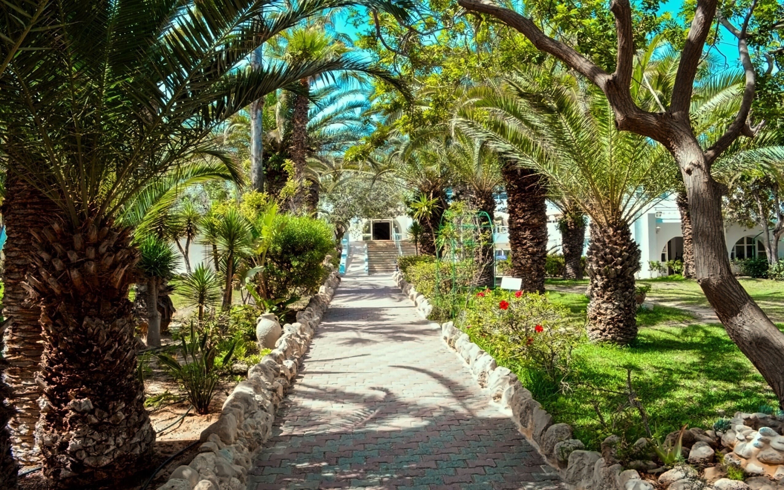 Картинка Mediterranee Thalasso-Golf 3*