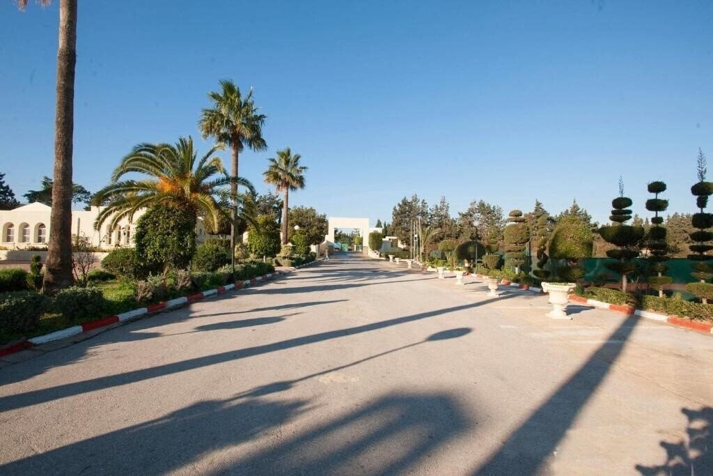 Апартаменты Palmyra Beach 3*