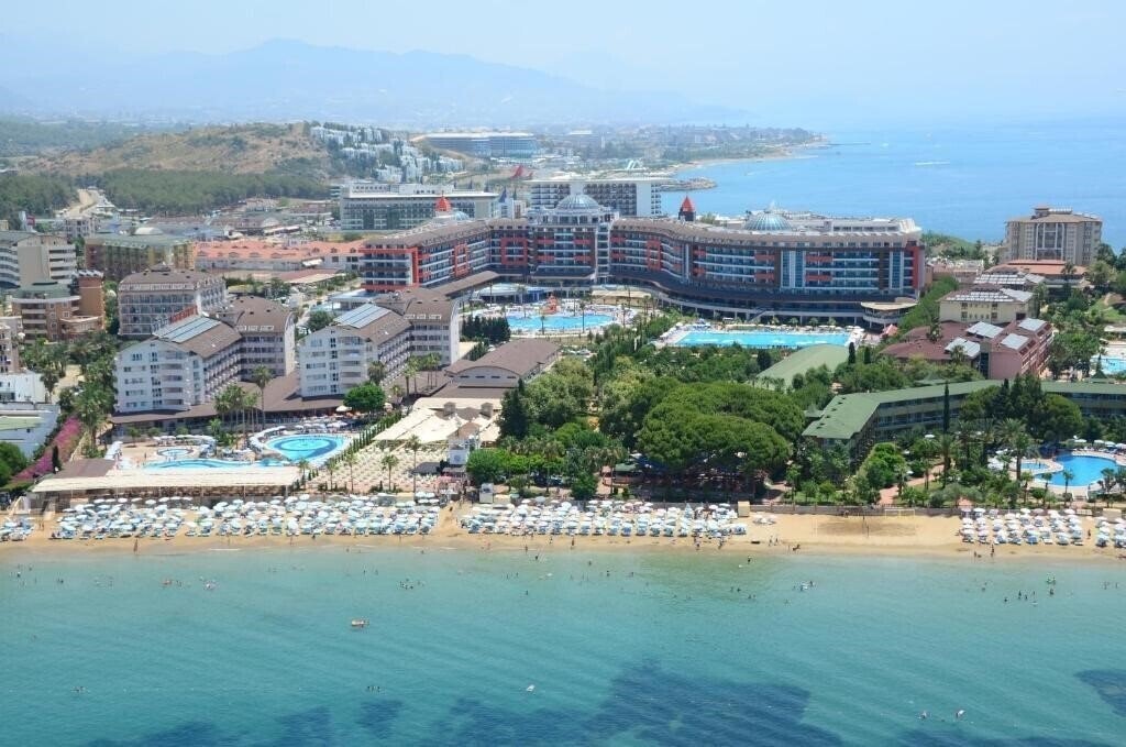 Вид Lonicera World 4*