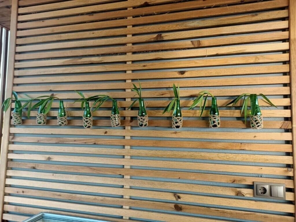 Вид Bora Bora Boutique Hotel 3*