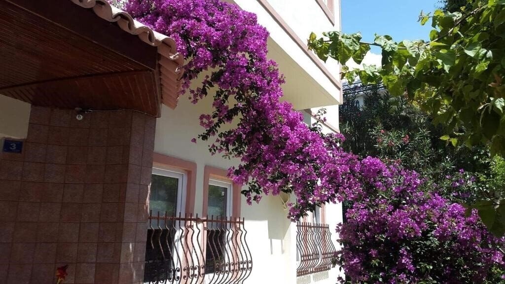 Панорама The S Apart & Suites 3*