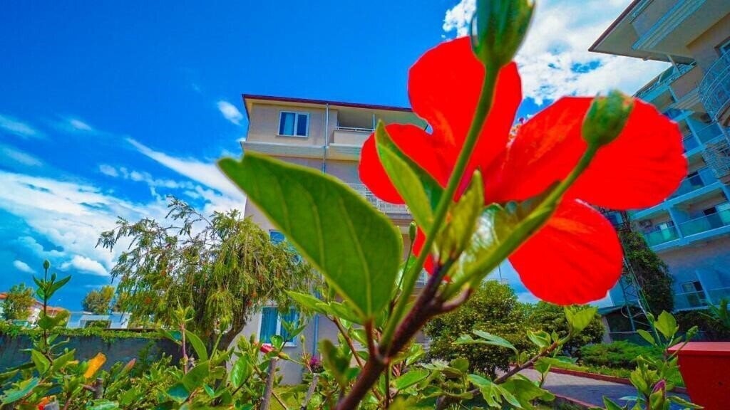 Панорама Club Wasa Holiday Village (ex. Larissa Holiday Beach Club, Coralis Sun Queen Beach Hotel, Aska Sun Queen Beach Hotel, Sun Queen Beach) 4*