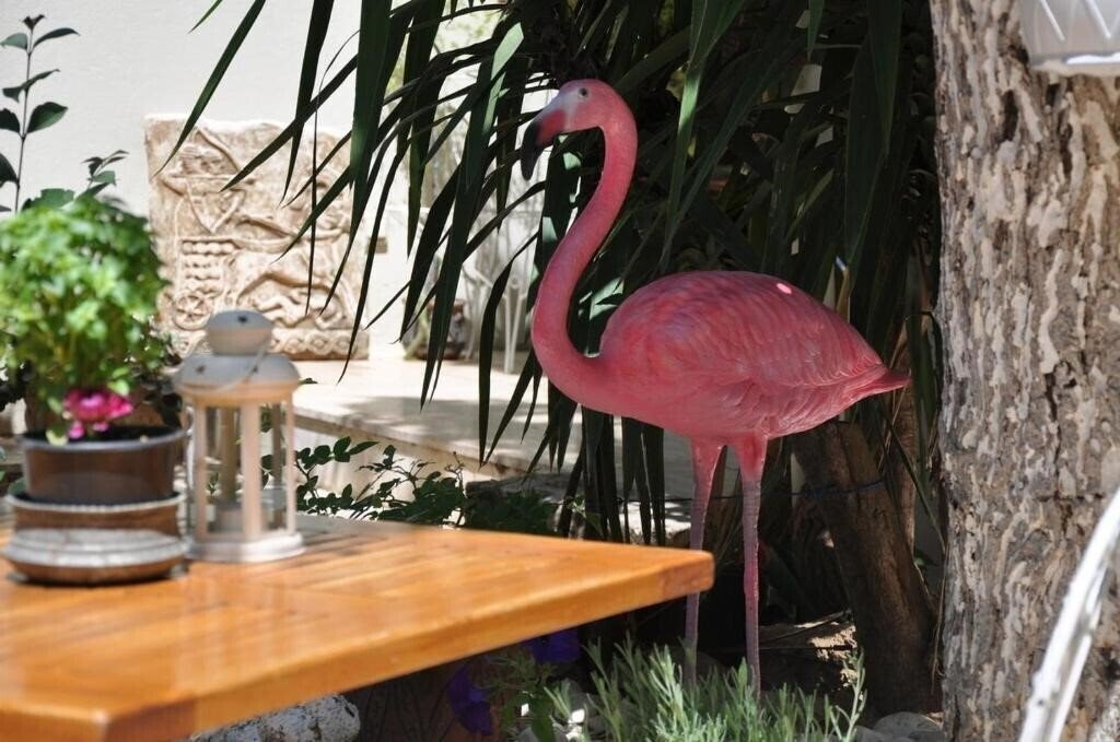 Панорама Sibel Hotel (ex. Sibel Pansiyon) 2*