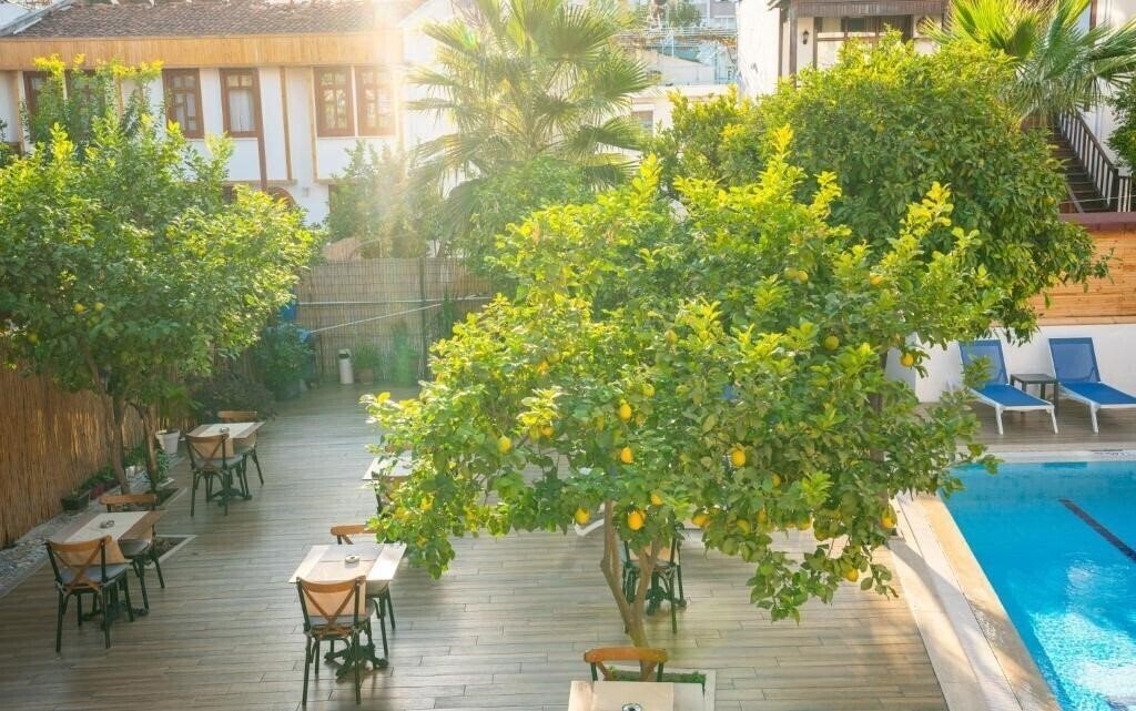 Територія Oscar Garden Hotel 2*