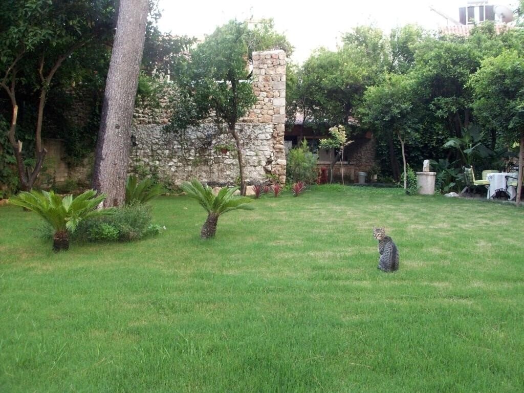 Зображення The Ninova 3*