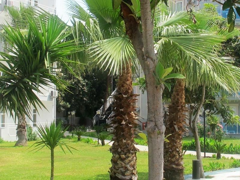 Картинка Bluementhal Hotel Beldibi 4*